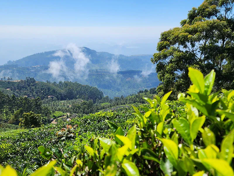 Trek to Little Adams Peak