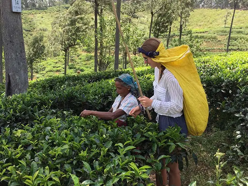 Trek to Little Adams Peak