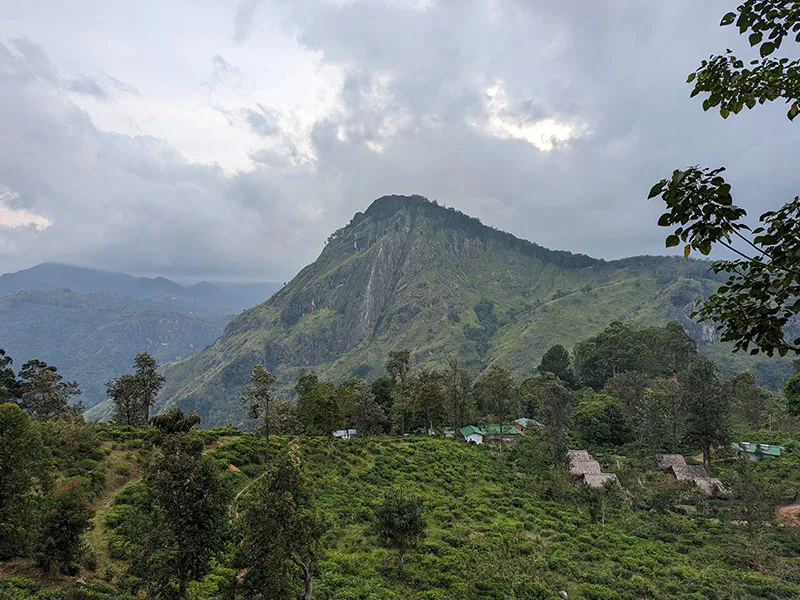 Trek to Little Adams Peak