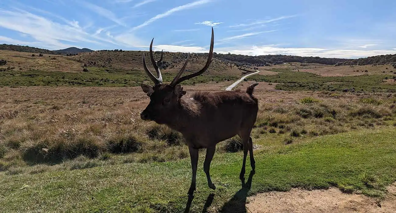 Horton Plains Nature Reserve