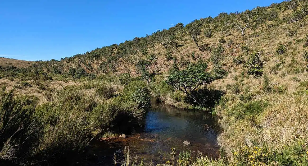 Horton Plains Nature Reserve