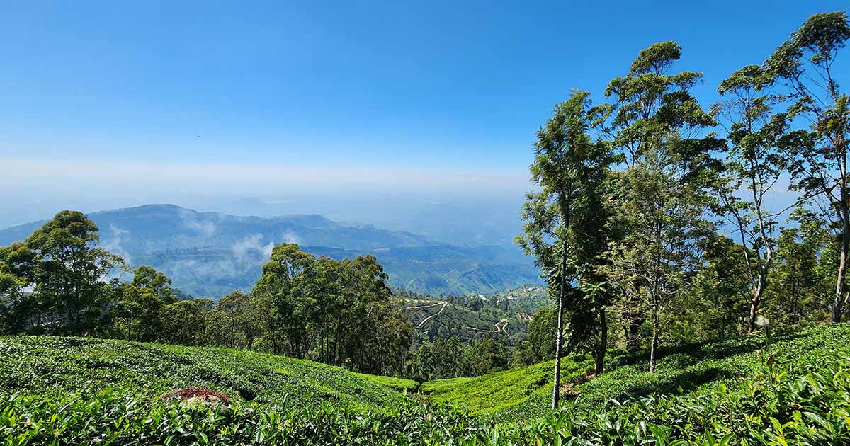 Orient Hotel in Bandarawela, Sri Lanka