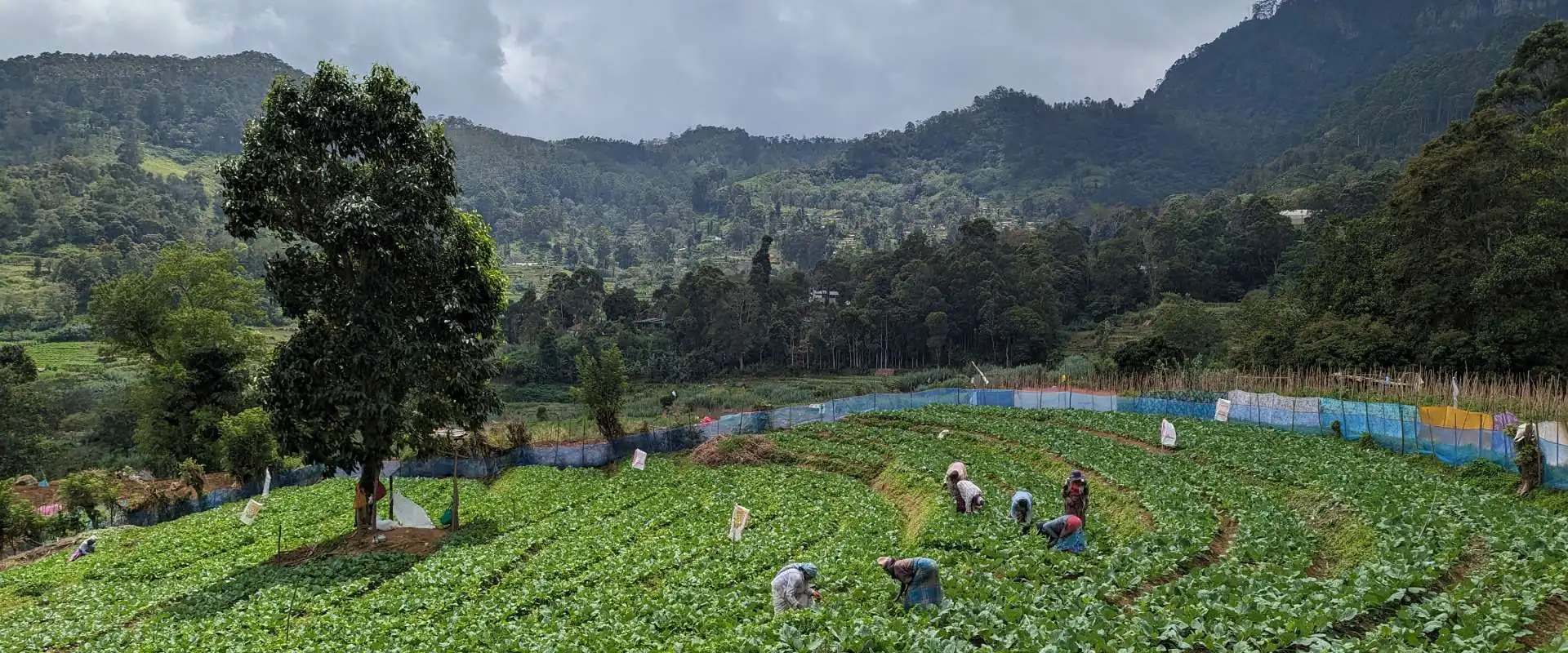 Community Farm and Village Visit