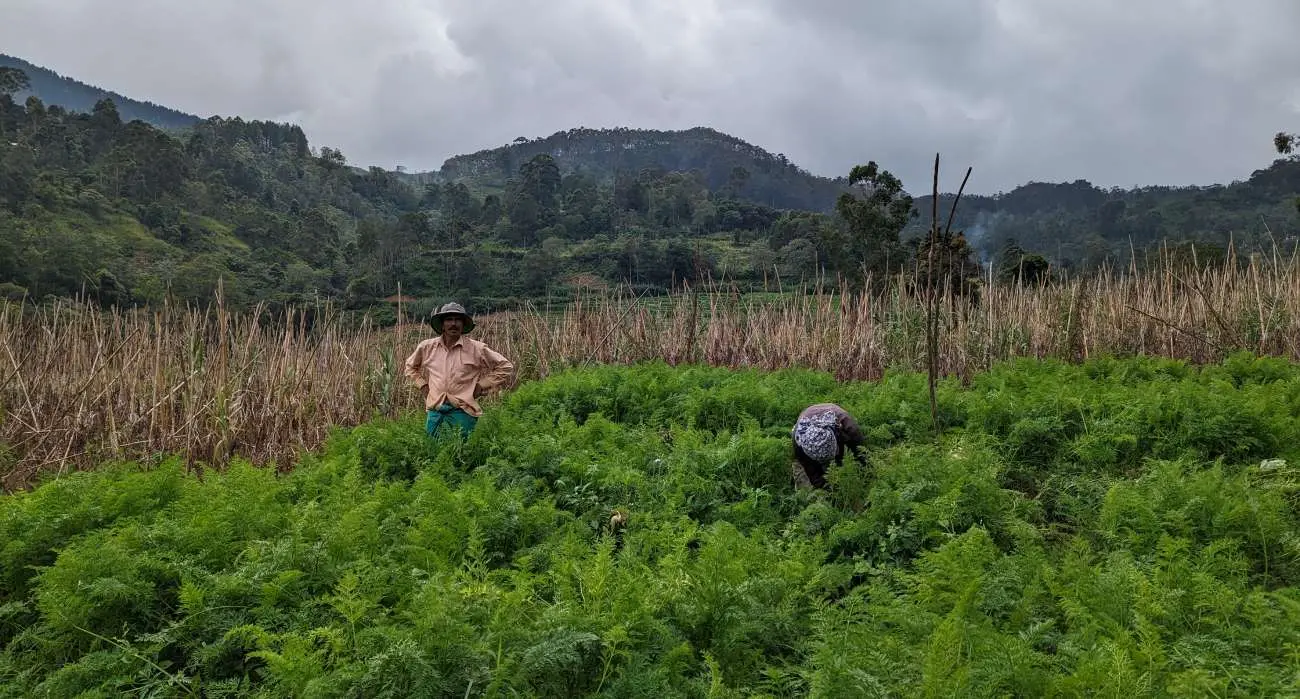 Community Farm and Village Visit