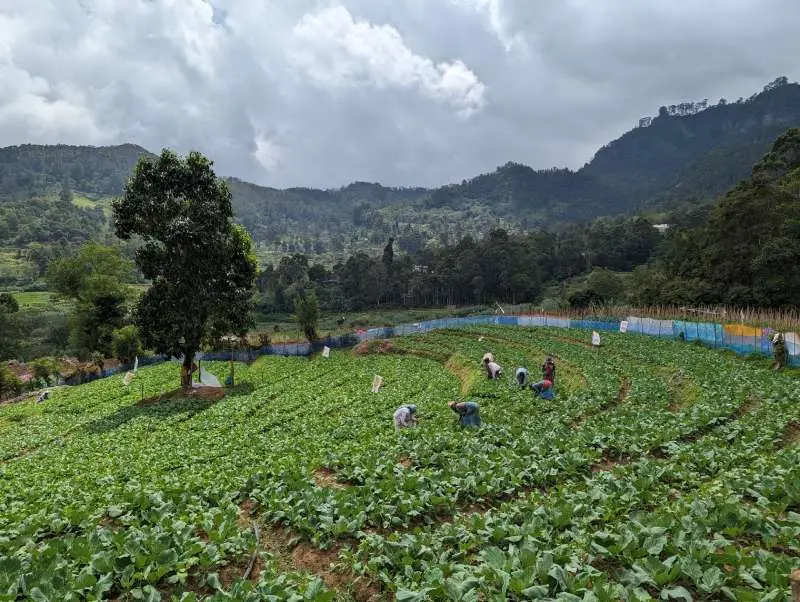 Community Farm and Village Visit