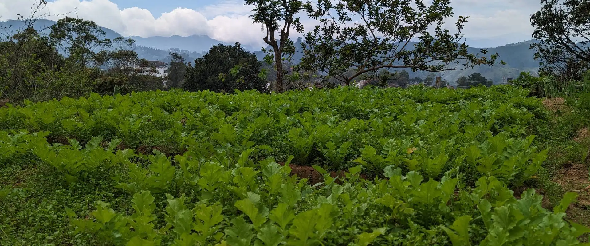 Tour Our Organic Farm