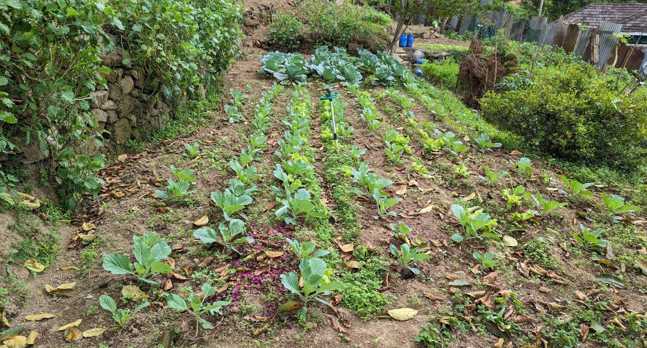 Tour Our Organic Farm