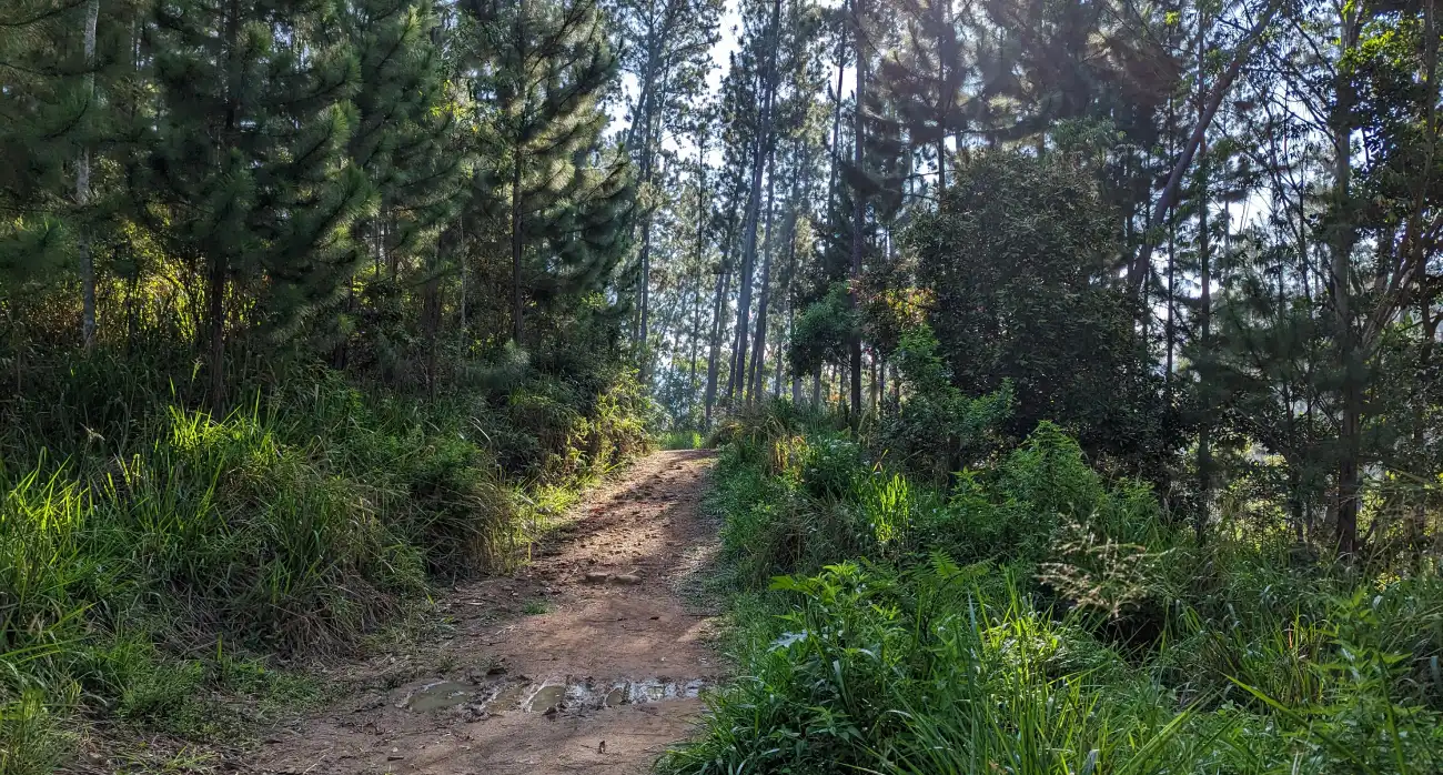 Pekoe Trail Stage 16